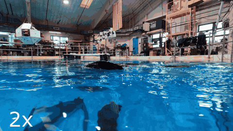 Research GIF 10